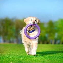 Ferplast Puller Juguete Para Perros -Mascota Tienda 199296 ferplastitalien ferplast hundespielzeug puller midi 27cm hs 16 5