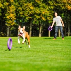 Ferplast Puller Juguete Para Perros -Mascota Tienda 199296 ferplastitalien ferplast hundespielzeug puller midi 27cm hs 17 7