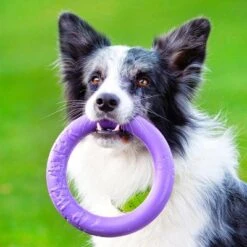 Ferplast Puller Juguete Para Perros -Mascota Tienda 199297 ferplastitalien ferplast hundespielzeug puller midi 19cm hs 16 9