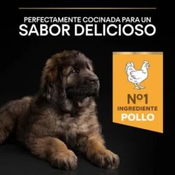 PURINA PRO PLAN Large Robust Puppy Healthy Start -Mascota Tienda 1 44142748 es es 221230 1 8