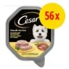 Cesar En Tarrinas 56 X 150 G -Mascota Tienda 1 666133 cesar schale 56x150g 1