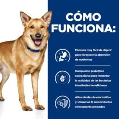 Hill's I/d Prescription Diet Latas Para Perros -Mascota Tienda 1 pd id dog bk30978m bk31617 bk30920 how works es 4