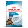 Royal Canin Maxi Starter -Mascota Tienda 1 rc spt dry maxistart mv 2 es es 5