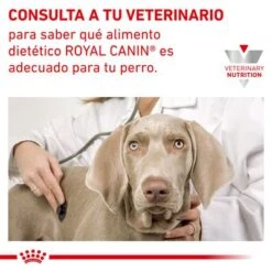 Royal Canin Veterinary Canine Sensitivity Control Con Pollo Y Arroz -Mascota Tienda 1 rc vet wet dogsenscontcwr cv eretailkit 6 es es 6