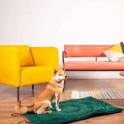 Esterilla De Viaje Brújula Para Perros 23 Esterilla De Viaje Brújula Para Perros -Mascota Tienda 203427 geop reise hundematte kompass hs 01 5