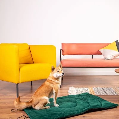 Esterilla De Viaje Brújula Para Perros 13 Esterilla De Viaje Brújula Para Perros - Imagen 11