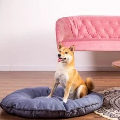 Cama Kapstadt 2 En 1 Modern Living Para Mascotas -Mascota Tienda 203436 geop katzenbett kapstadt 2in1 hs 01 1