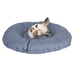 Cama Kapstadt 2 En 1 Modern Living Para Mascotas -Mascota Tienda 203436 kapstadt und katze fg 9820 4