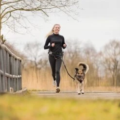 Correa De Jogging Con Cinturón Trixie Gris Y Negra Para Perros 17 Correa De Jogging Con Cinturón Trixie Gris Y Negra Para Perros -Mascota Tienda 203777 trixie jogginggurt leine grauschwarz hs 13 6
