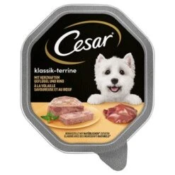 Cesar En Tarrinas 56 X 150 G 27 Cesar En Tarrinas 56 X 150 G -Mascota Tienda 206282pla marsgemany megapack cesar schale terrine 14x150g hs 01 1