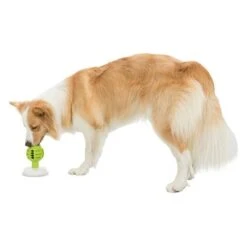 Trixie Licking Ball Pelota Rellenable Para Perros -Mascota Tienda 209078 trixie licknsnack ball hs 09 6