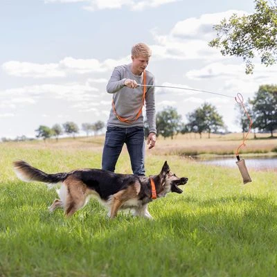 Trixie Caña Estimulante Juguete De Adiestramiento Para Perros 4 Trixie Caña Estimulante Juguete De Adiestramiento Para Perros - Imagen 2