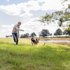 Trixie Caña Estimulante Juguete De Adiestramiento Para Perros 14 Trixie Caña Estimulante Juguete De Adiestramiento Para Perros -Mascota Tienda 209093 trixie reizangel hs 06 8