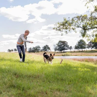 Trixie Caña Estimulante Juguete De Adiestramiento Para Perros 7 Trixie Caña Estimulante Juguete De Adiestramiento Para Perros - Imagen 5