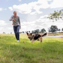 Trixie Caña Estimulante Juguete De Adiestramiento Para Perros 16 Trixie Caña Estimulante Juguete De Adiestramiento Para Perros -Mascota Tienda 209093 trixie reizangel hs 08 7