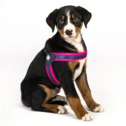 Arnés Max & Molly Matrix Q-Fit Rosa Para Perros -Mascota Tienda 210400 209040 210401 209041 210496 210497 maxnmolly qfit g eschirr matrix pink hs 04 2