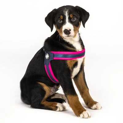 Arnés Max & Molly Matrix Q-Fit Rosa Para Perros - Imagen 4