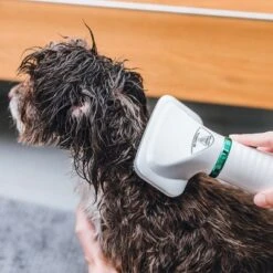 Cepillo Trixie De Aire Caliente 20 Cepillo Trixie De Aire Caliente -Mascota Tienda 212217 trixie warmluftbuerste 300w hs 18 5