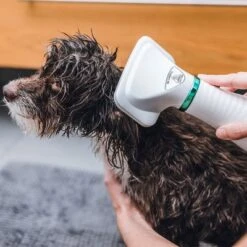 Cepillo Trixie De Aire Caliente 17 Cepillo Trixie De Aire Caliente -Mascota Tienda 212217 trixie warmluftbuerste 300w hs 19 8