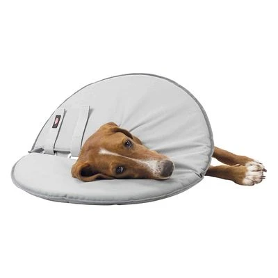 Collar Isabelino Trixie Para Perros 5 Collar Isabelino Trixie Para Perros - Imagen 3