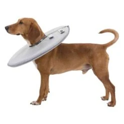 Collar Isabelino Trixie Para Perros 12 Collar Isabelino Trixie Para Perros -Mascota Tienda 212908 213096 212909 213097 213196 213197 212910 trixie schutzkragen hs 04 7