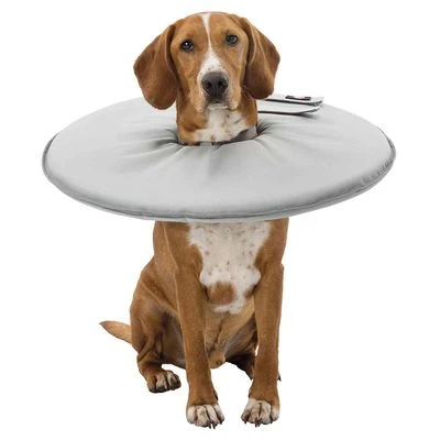 Collar Isabelino Trixie Para Perros 7 Collar Isabelino Trixie Para Perros - Imagen 5