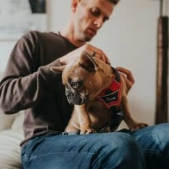 Arnés HUNTER Divo Rojo Y Gris Para Perros 23 Arnés HUNTER Divo Rojo Y Gris Para Perros -Mascota Tienda 212948 214597 214598 212949 212951 hunter geschirr divo rotgrau hs 07 6