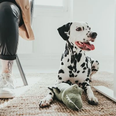 Hunter Tough Toys Cocodrilo De Juguete Para Perros 4 Hunter Tough Toys Cocodrilo De Juguete Para Perros - Imagen 2