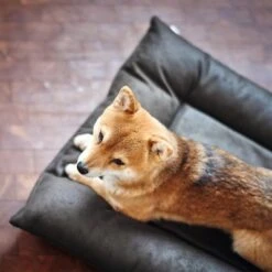 Cama Hunter Bologna Negra Para Perros -Mascota Tienda 214699 214700 hunter hundebett bologna schwarz hs 09 2