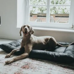 Cama Hunter Bologna Negra Para Perros -Mascota Tienda 214699 214700 hunter hundebett bologna schwarz hs 10 8