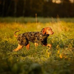 Chaqueta Rukka® Comfy Pile De Camuflaje Para Perros -Mascota Tienda 216717 216718 217599 217600 216719 lfashion rukkapets comfy pilejacke camouflage hs 09 2