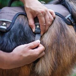 Arnés Ferplast Ergotrekking Marrón -Mascota Tienda 224505 224506 224507 ferplast ergotrekking geschirr braun hs 11 2