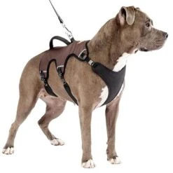 Arnés Ferplast Ergotrekking Marrón -Mascota Tienda 224505 224506 224507 ferplast ergotrekking geschirr braun hs 14 0