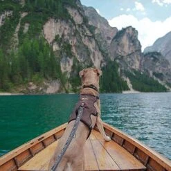 Arnés Ferplast Ergotrekking Marrón -Mascota Tienda 224505 224506 224507 ferplast ergotrekking geschirr braun hs 18 4