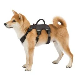 Arnés Ferplast Ergotrekking Negro -Mascota Tienda 224508 224509 224510 ferplast ergotrekking geschirr schwarz hs 10 4