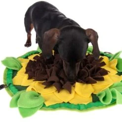 Alfombra Olfativa Sunnyflower Para Perros Y Gatos -Mascota Tienda 229108 sunnyflower fg 0639 1