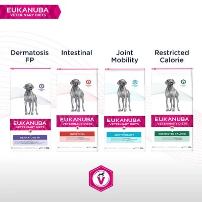 Eukanuba VETERINARY DIETS Intestinal Pienso Para Perros - Imagen 7