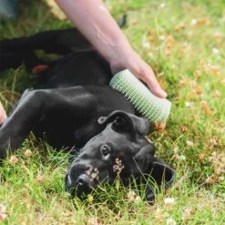 Pet Teezer Cepillo Para Cachorros -Mascota Tienda 230724 pet teezer welpenbuerste hs 19 6