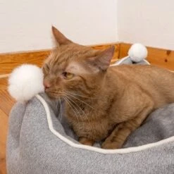 Cama Crown Para Mascotas 22 Cama Crown Para Mascotas -Mascota Tienda 233898 crown mit katze fg 8999 6