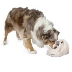 Petmate Fresh Flow Deluxe Bebedero Para Gatos -Mascota Tienda 23406 petmate fresh flow deluxe creme hs 02 9