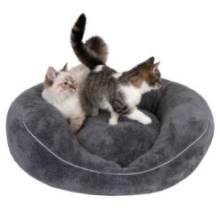 Cama Ortopédica Atlanta Modern Living Para Mascotas -Mascota Tienda 235396 und katze fg 9748 0