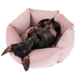 Cama Manila Para Mascotas 22 Cama Manila Para Mascotas -Mascota Tienda 235399 hundebett manila fg 0288 2