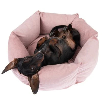 Cama Manila Para Mascotas 10 Cama Manila Para Mascotas - Imagen 8