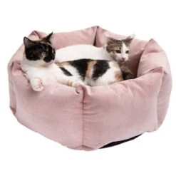 Cama Manila Para Mascotas 18 Cama Manila Para Mascotas -Mascota Tienda 235399 manila katze fg 0440 3