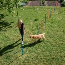 Slalom Agility Fun & Sport -Mascota Tienda 23798 agility fun sport slalom set fg 10 8
