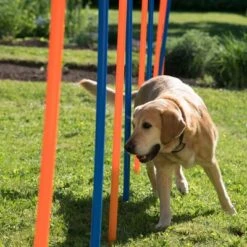 Slalom Agility Fun & Sport -Mascota Tienda 23798 agility fun sport slalom set fg 13 1