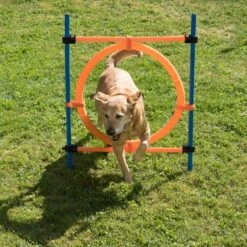 Aro Agility Fun & Sport -Mascota Tienda 23800 agility fun sport sprungring fg 10 2