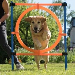 Aro Agility Fun & Sport -Mascota Tienda 23800 agility fun sport sprungring fg 12 8