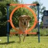 Aro Agility Fun & Sport -Mascota Tienda 23800 agility fun sport sprungring fg 16 1