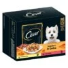 Cesar Selección Carne Con Verduras En Gelatina -Mascota Tienda 250998 mars cesar selektion fleisch gemuesegelee hs 03 4